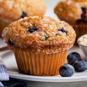 Blueberry Muffin