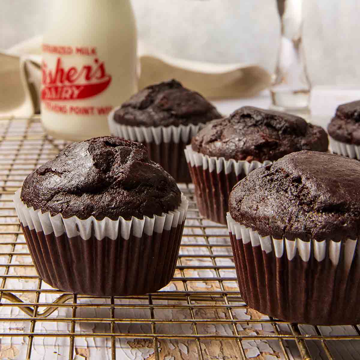 Chocolate Muffin